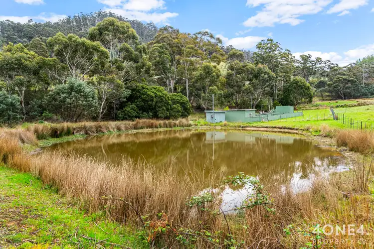Fourth view of Homely house listing, 161 Daniels Road, Magra TAS 7140