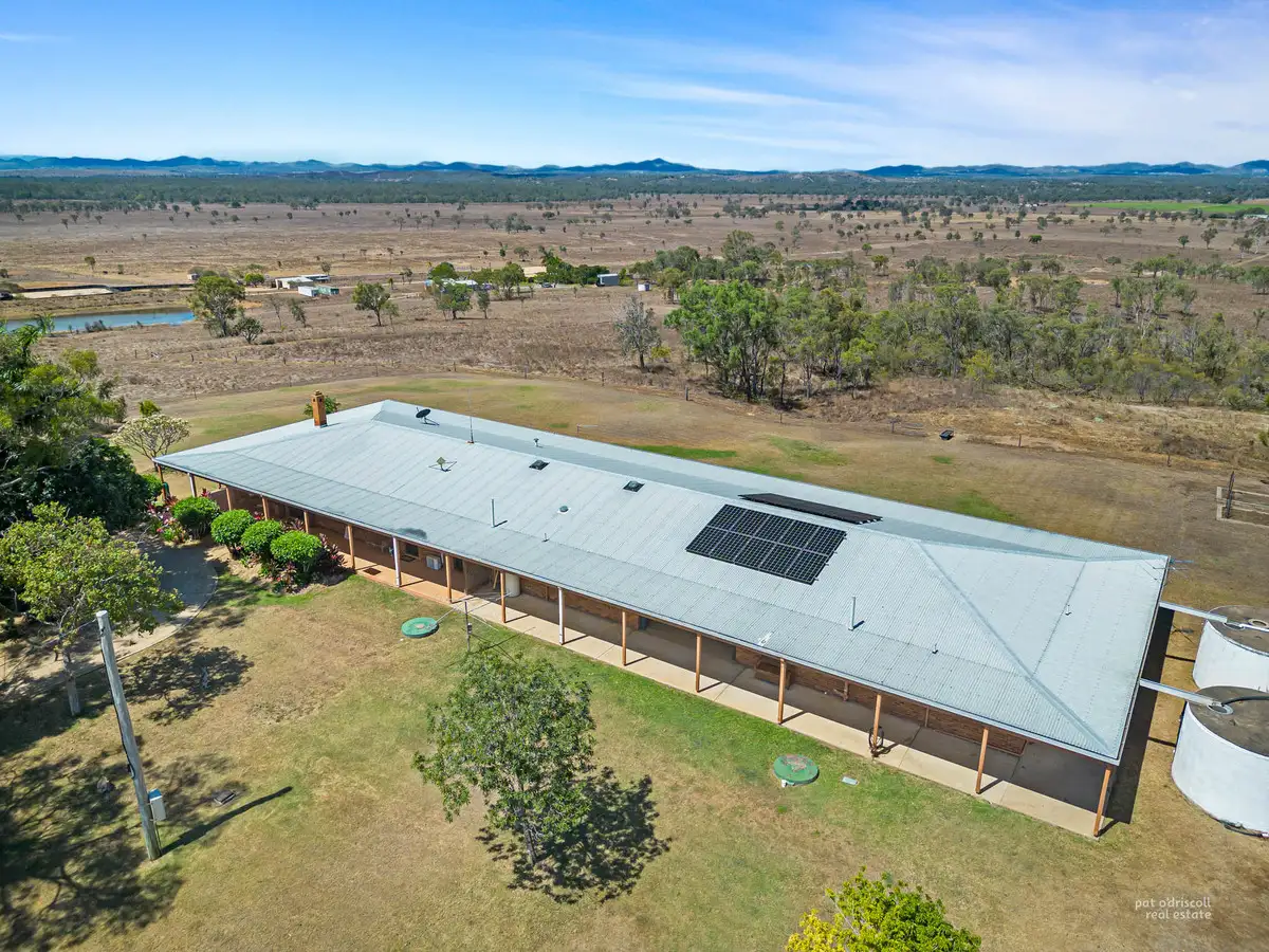 Main view of Homely rural property listing, 314 McKenzie Road, Alton Downs QLD 4702