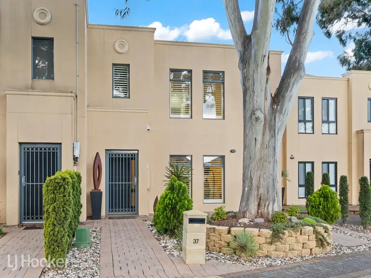 Main view of Homely house listing, 37 Willow Bend, Marden SA 5070