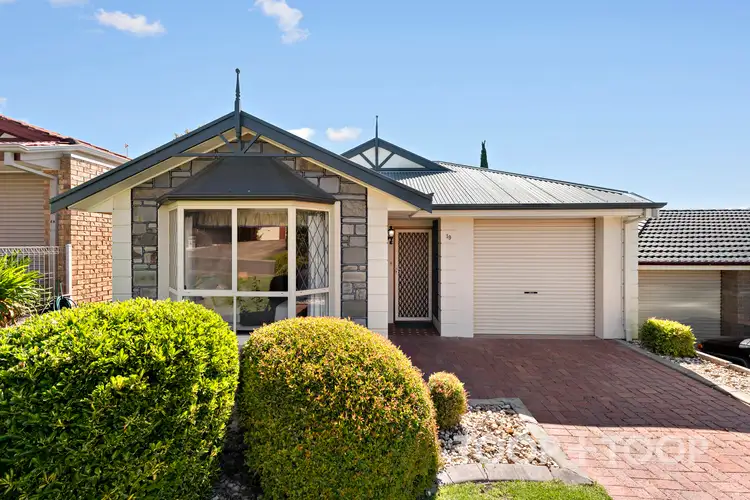 Main view of Homely house listing, 19 Pfitzner Place, Greenwith SA 5125