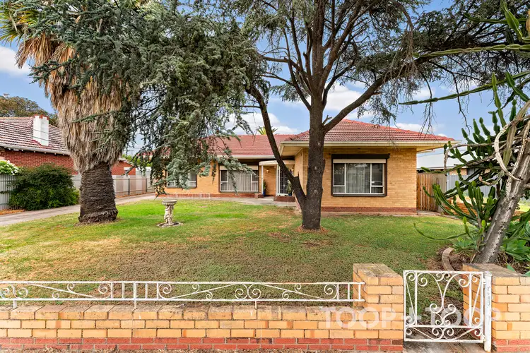 Main view of Homely house listing, 24 Leslie Street East, Woodville SA 5011