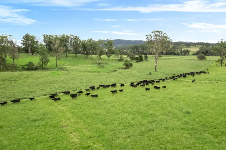 Second view of Homely rural property listing, 98 Larsson Road, Tunglebung NSW 2469
