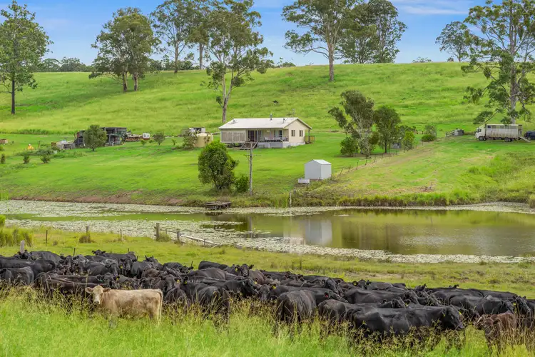 Fourth view of Homely rural property listing, 98 Larsson Road, Tunglebung NSW 2469