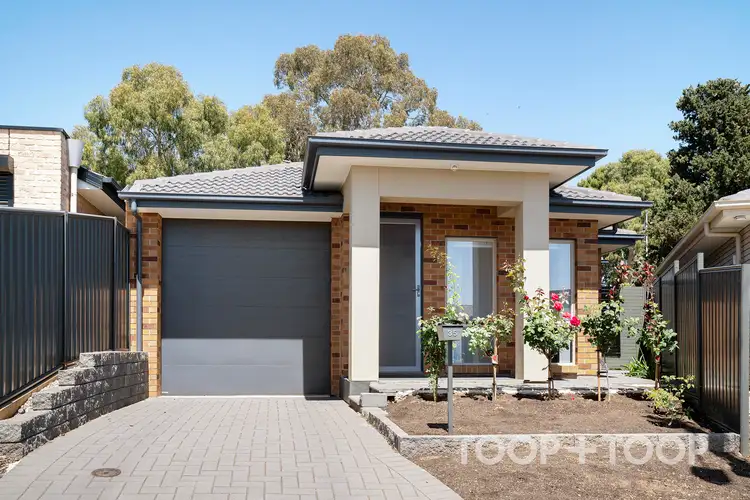 35 Hardy Court, Paradise SA 5075