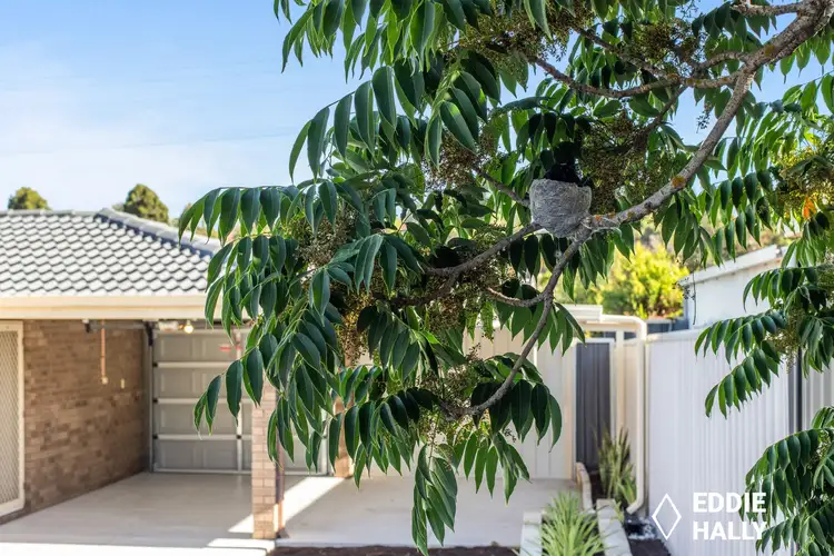 Main view of Homely house listing, 65 Williambury Drive, Yangebup WA 6164