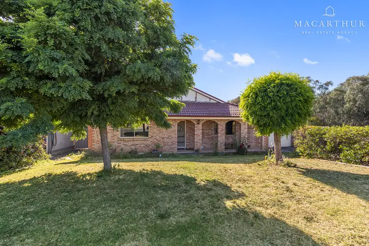 53 Veale Street, Ashmont NSW 2650