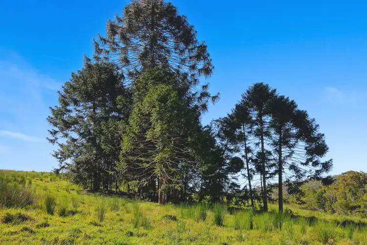 Seventh view of Homely rural property listing, 2 Kiamba Road, Kiamba QLD 4560