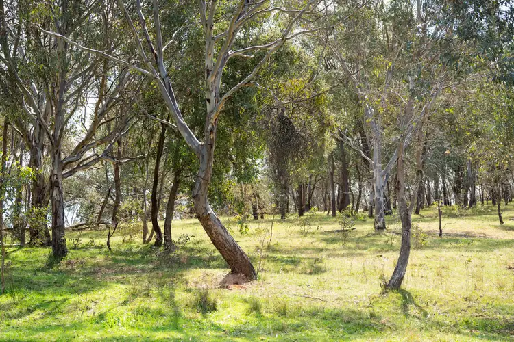 Third view of Homely rural property listing, 608 Urana Road, Hamilton Valley NSW 2641