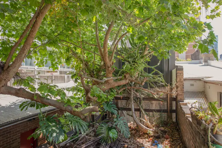 Fourth view of Homely terrace listing, 11 Ryder Street, Darlinghurst NSW 2010