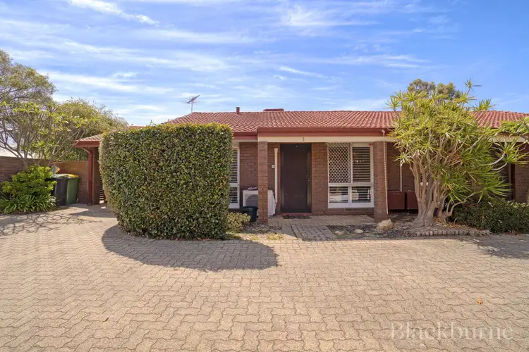 Main view of Homely villa listing, 1/91 Fitzroy Road, Rivervale WA 6103