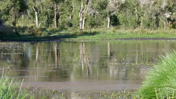 LOT 78,79, 400 Phillips Swamp Road, Busbys Flat NSW 2469