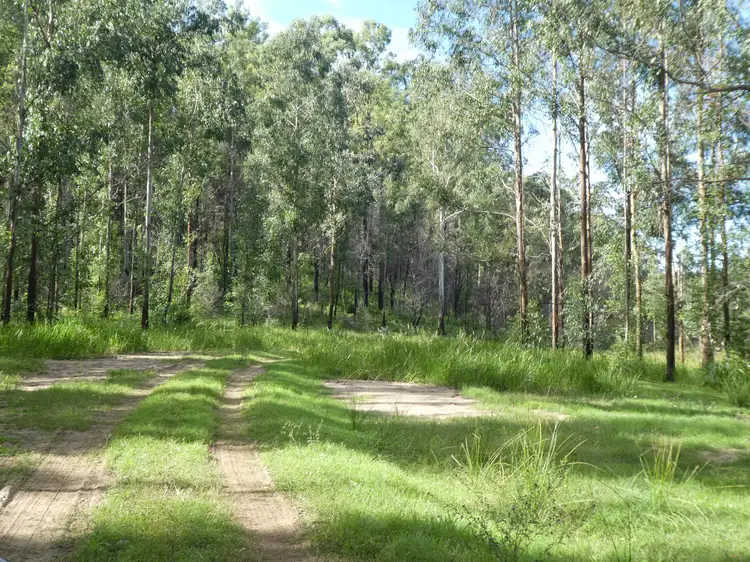 Main view of Homely rural property listing, 534 Phillips Swamp Road, Busbys Flat NSW 2469