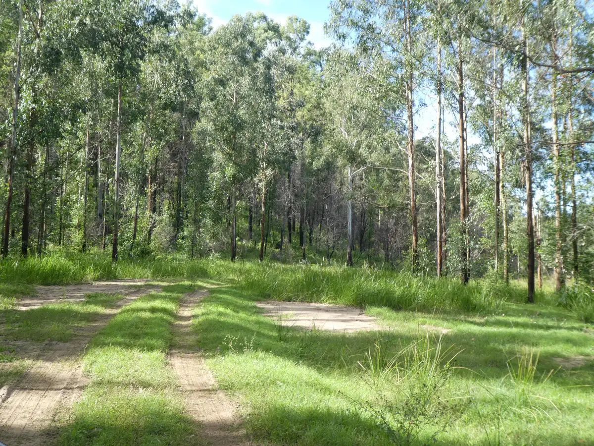 Main view of Homely rural property listing, 534 Phillips Swamp Road, Busbys Flat NSW 2469