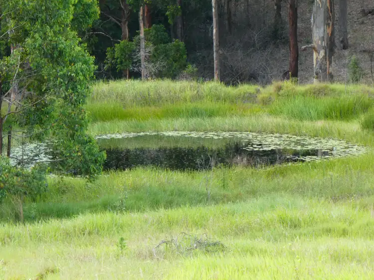 Second view of Homely rural property listing, 534 Phillips Swamp Road, Busbys Flat NSW 2469