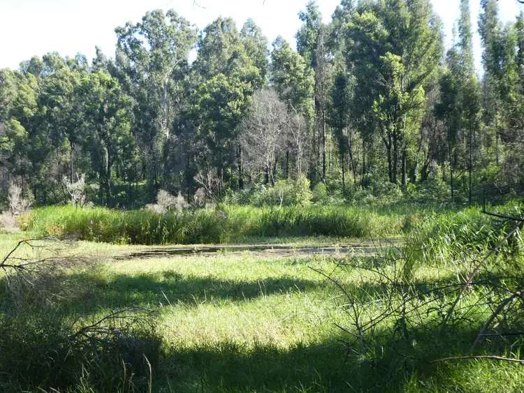 Third view of Homely rural property listing, 534 Phillips Swamp Road, Busbys Flat NSW 2469