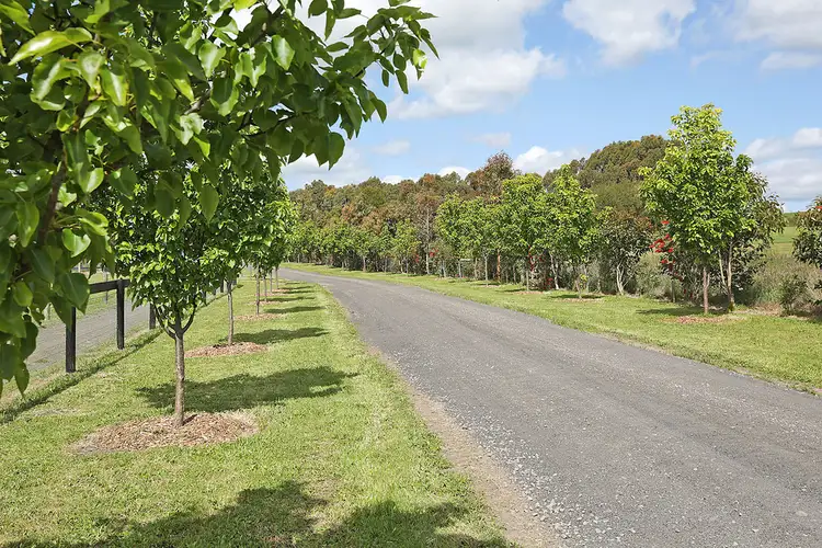 Third view of Homely house listing, 95 Forest Street South, Elliminyt VIC 3250