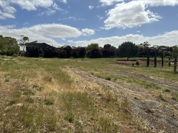 Fifth view of Homely warehouse listing, 46 South Street, Auburn SA 5451