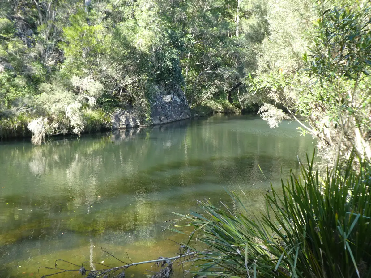 Main view of Homely rural property listing, 436 Sugarbag Rd West, Drake NSW 2469