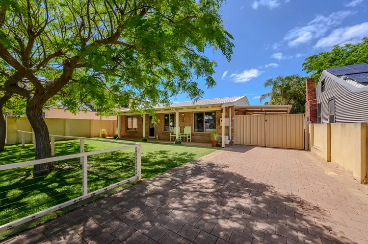 19 Galatea Road, Falcon WA 6210