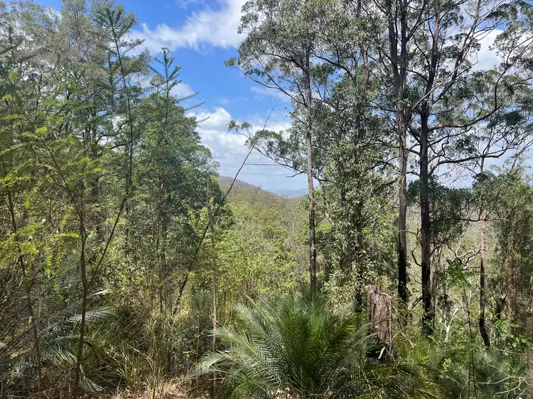 Connollys Creek Road, Mount George NSW 2424