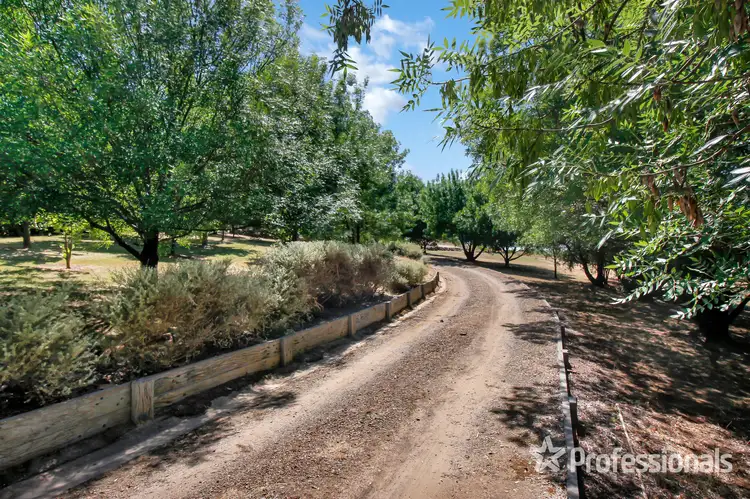 Second view of Homely house listing, 5 Mulga Place, Springvale NSW 2650