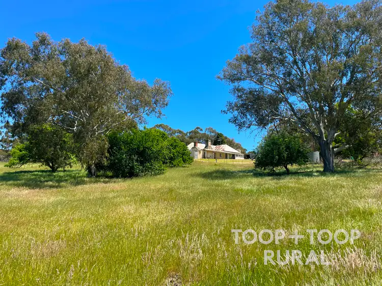Third view of Homely rural property listing, 201 Mcgormans Road, Mount Pleasant SA 5235
