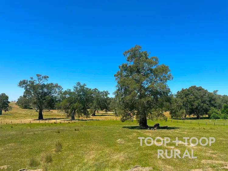 Fourth view of Homely rural property listing, 201 Mcgormans Road, Mount Pleasant SA 5235