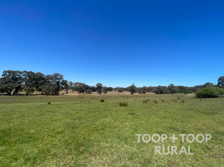 Fifth view of Homely rural property listing, 201 Mcgormans Road, Mount Pleasant SA 5235