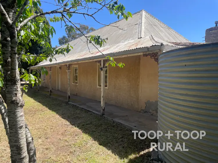 Sixth view of Homely rural property listing, 201 Mcgormans Road, Mount Pleasant SA 5235