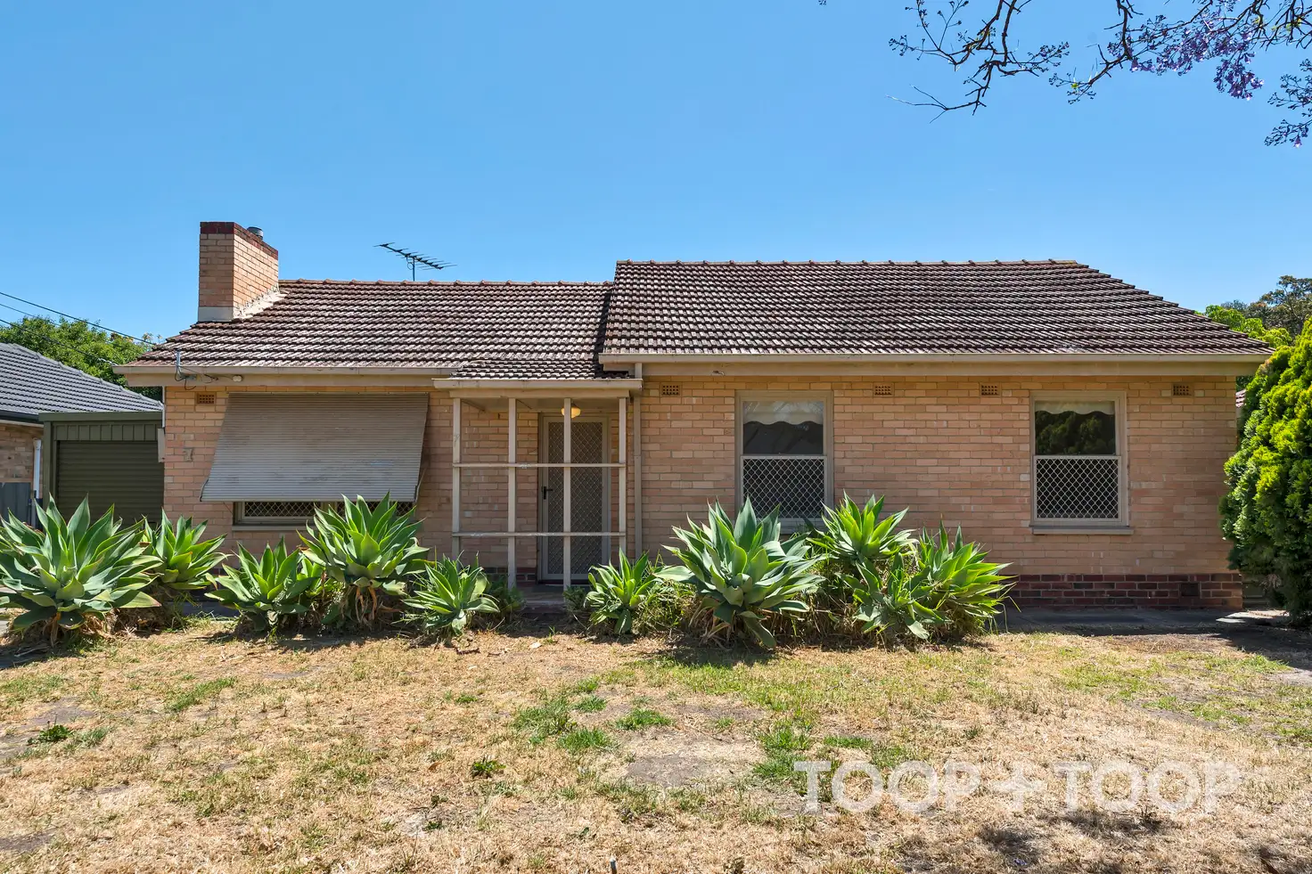 Main view of Homely house listing, 7 Diosma Crescent, Lockleys SA 5032