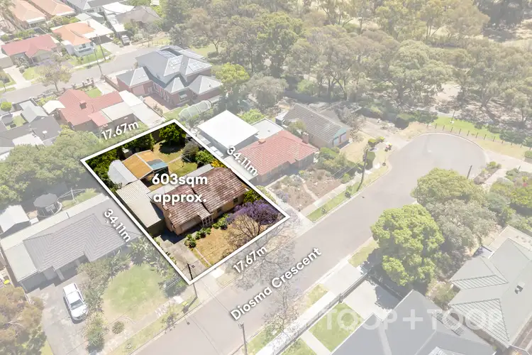 Second view of Homely house listing, 7 Diosma Crescent, Lockleys SA 5032