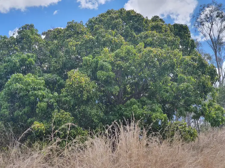 Fourth view of Homely land listing, LOT 492 Morgan Street, Boyne Valley QLD 4680