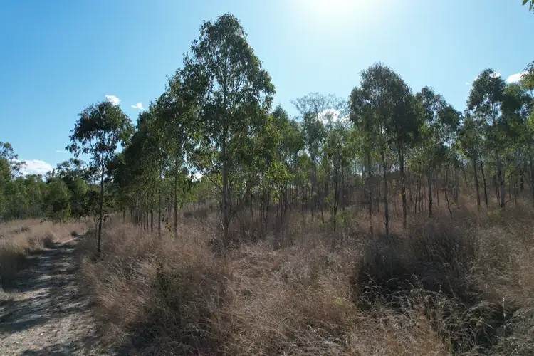 Seventh view of Homely land listing, LOT 492 Morgan Street, Boyne Valley QLD 4680