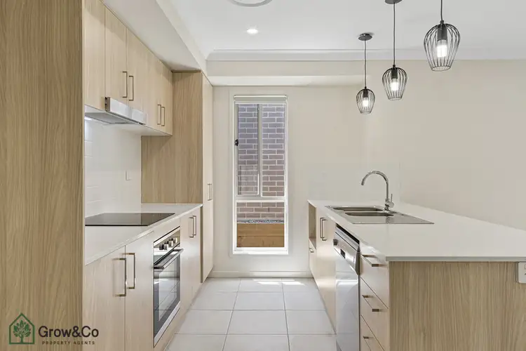 Main view of Homely house listing, 16 Black Cherry Street, Park Ridge QLD 4125