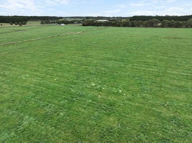 Fourth view of Homely rural property listing, Castle Carey Road, Gnotuk VIC 3260