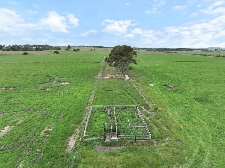 Fifth view of Homely rural property listing, Castle Carey Road, Gnotuk VIC 3260