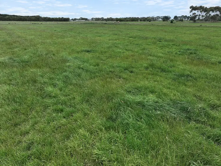 Sixth view of Homely rural property listing, Castle Carey Road, Gnotuk VIC 3260