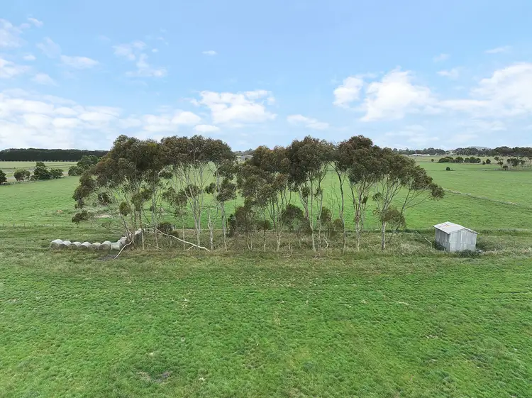 Seventh view of Homely rural property listing, Castle Carey Road, Gnotuk VIC 3260