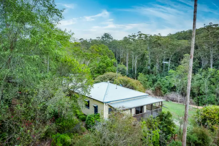 Second view of Homely house listing, 38 Scotchman Road, Bellingen NSW 2454