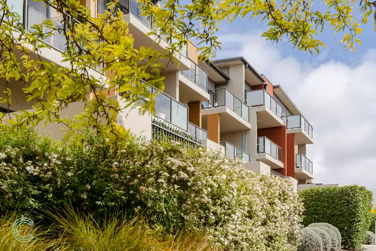 54/303 Flemington Road, Franklin ACT 2913