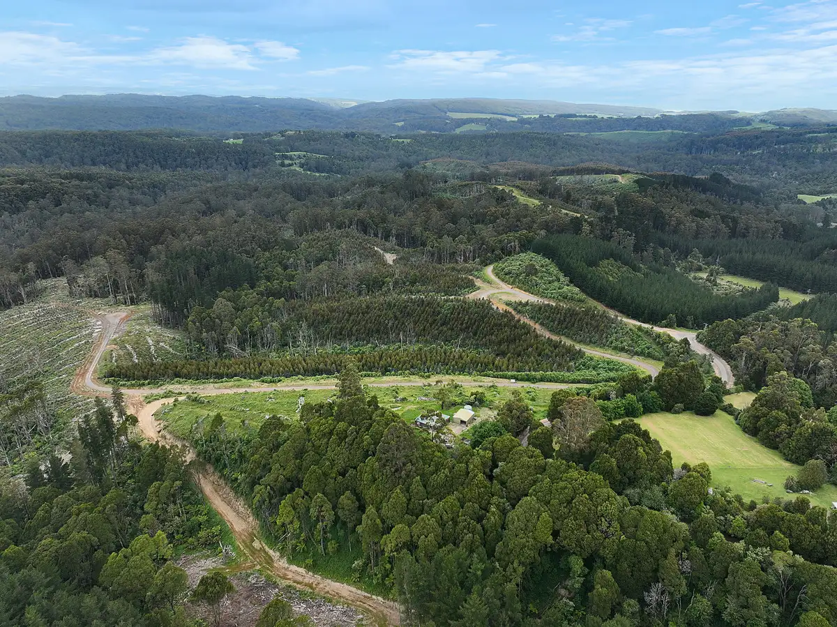 Main view of Homely rural property listing, 555 Amiets Road, Wyelangta VIC 3237