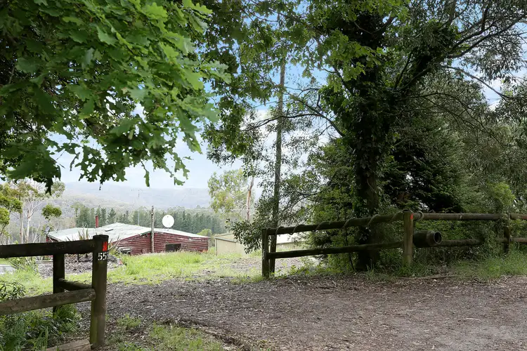 Second view of Homely rural property listing, 555 Amiets Road, Wyelangta VIC 3237