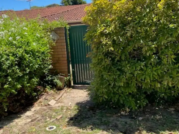 Second view of Homely unit listing, 4/67 Chaucer Street, Yokine WA 6060