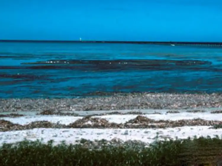 Sixth view of Homely land listing, LOT 11 Private Road, Port Germein SA 5495