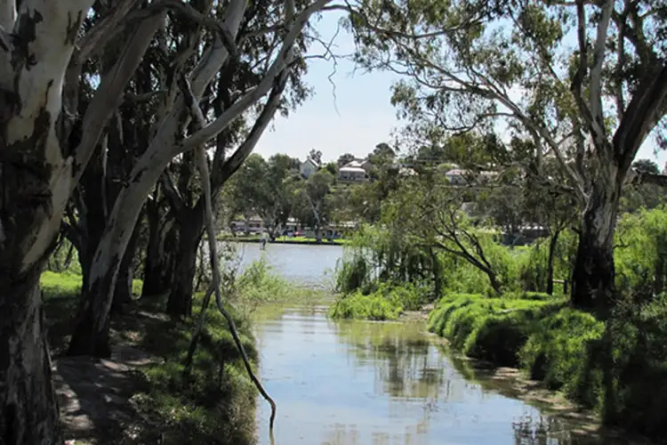 LOT 94, Berth 96 Pelican Drive, Mannum SA 5238