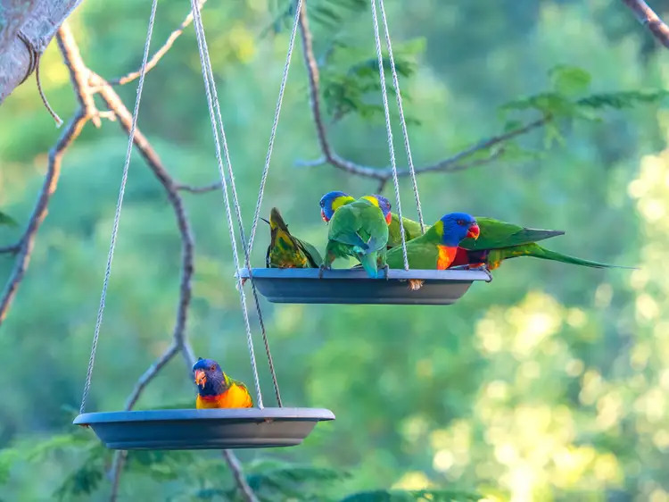 Fourth view of Homely house listing, 676 Eatons Crossing Road, Draper QLD 4520