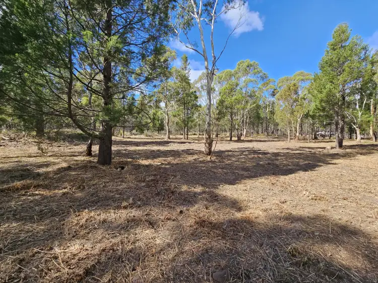 Second view of Homely land listing, LOT 1 Elizabeth Street, Pontypool TAS 7190
