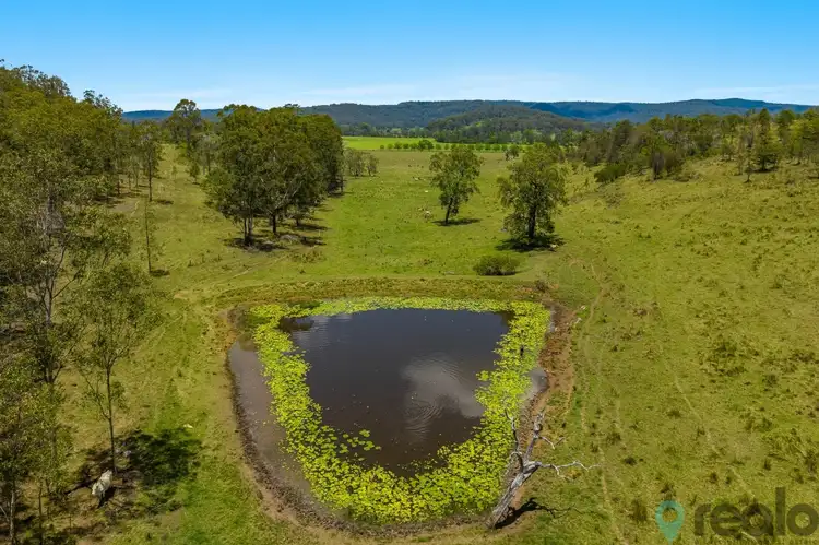 Third view of Homely rural property listing, 1006 Benns Road, Piora NSW 2470