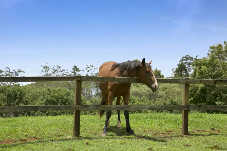 Fourth view of Homely house listing, 23 Rusty Court, Tallebudgera Valley QLD 4228