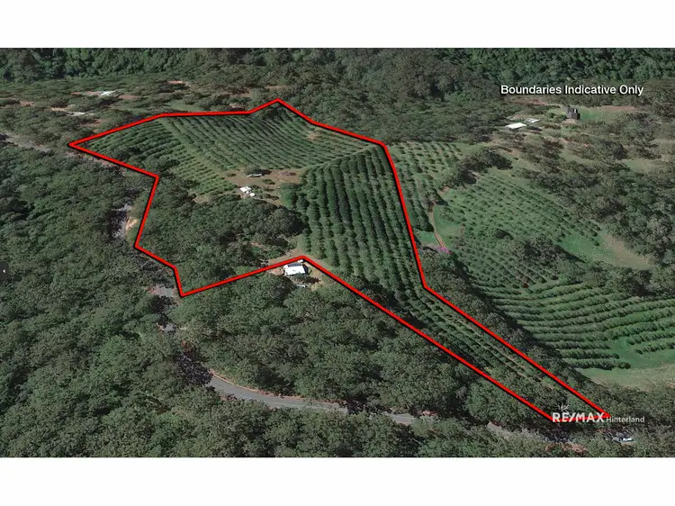 1864 Maleny Stanley River Road, Booroobin QLD 4552